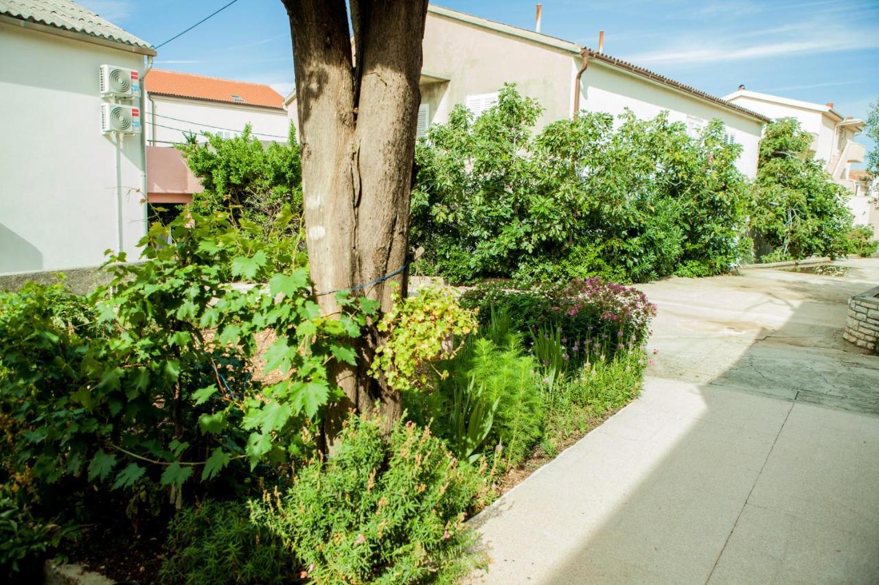 Apartments Alma Novalja Bagian luar foto