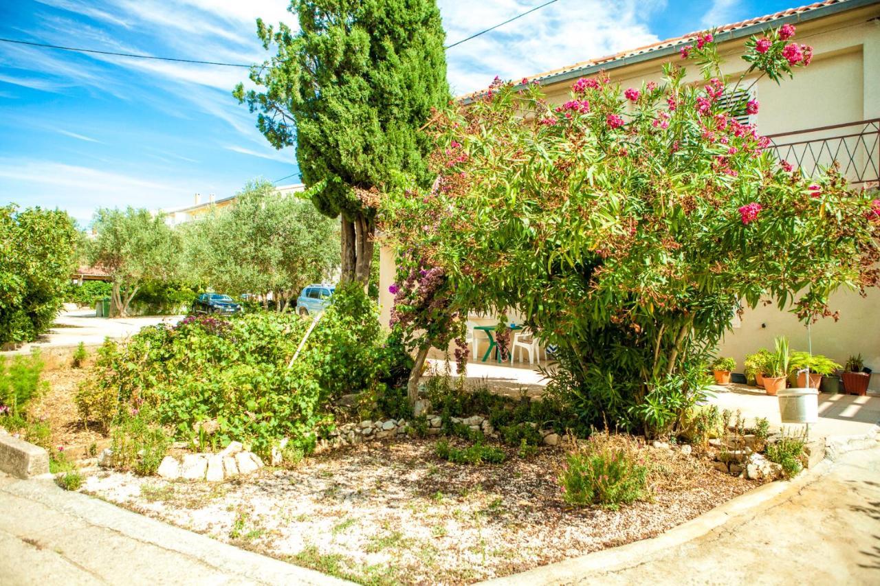 Apartments Alma Novalja Bagian luar foto