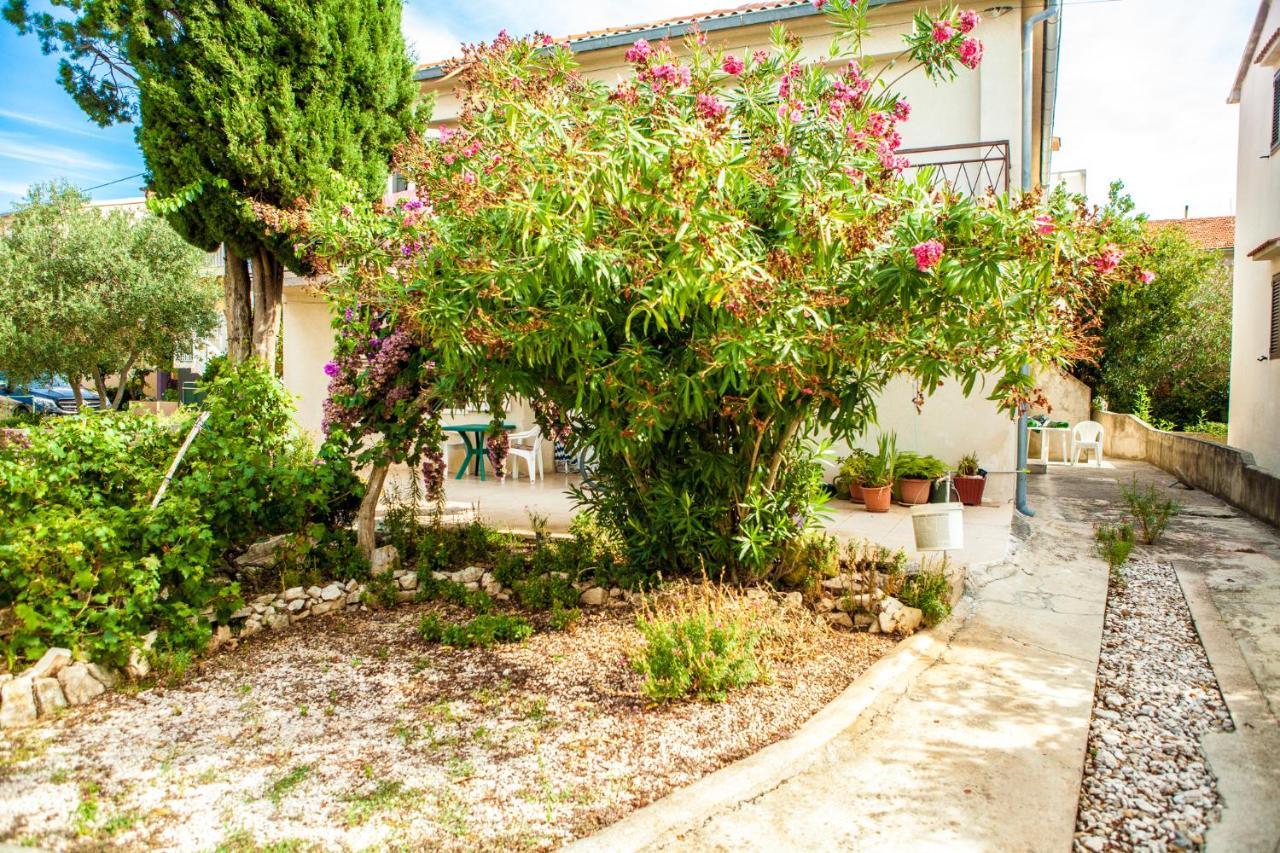 Apartments Alma Novalja Bagian luar foto