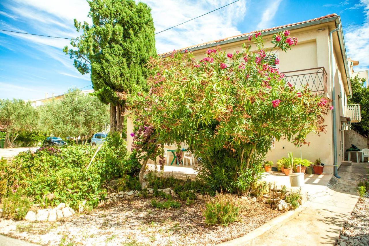 Apartments Alma Novalja Bagian luar foto