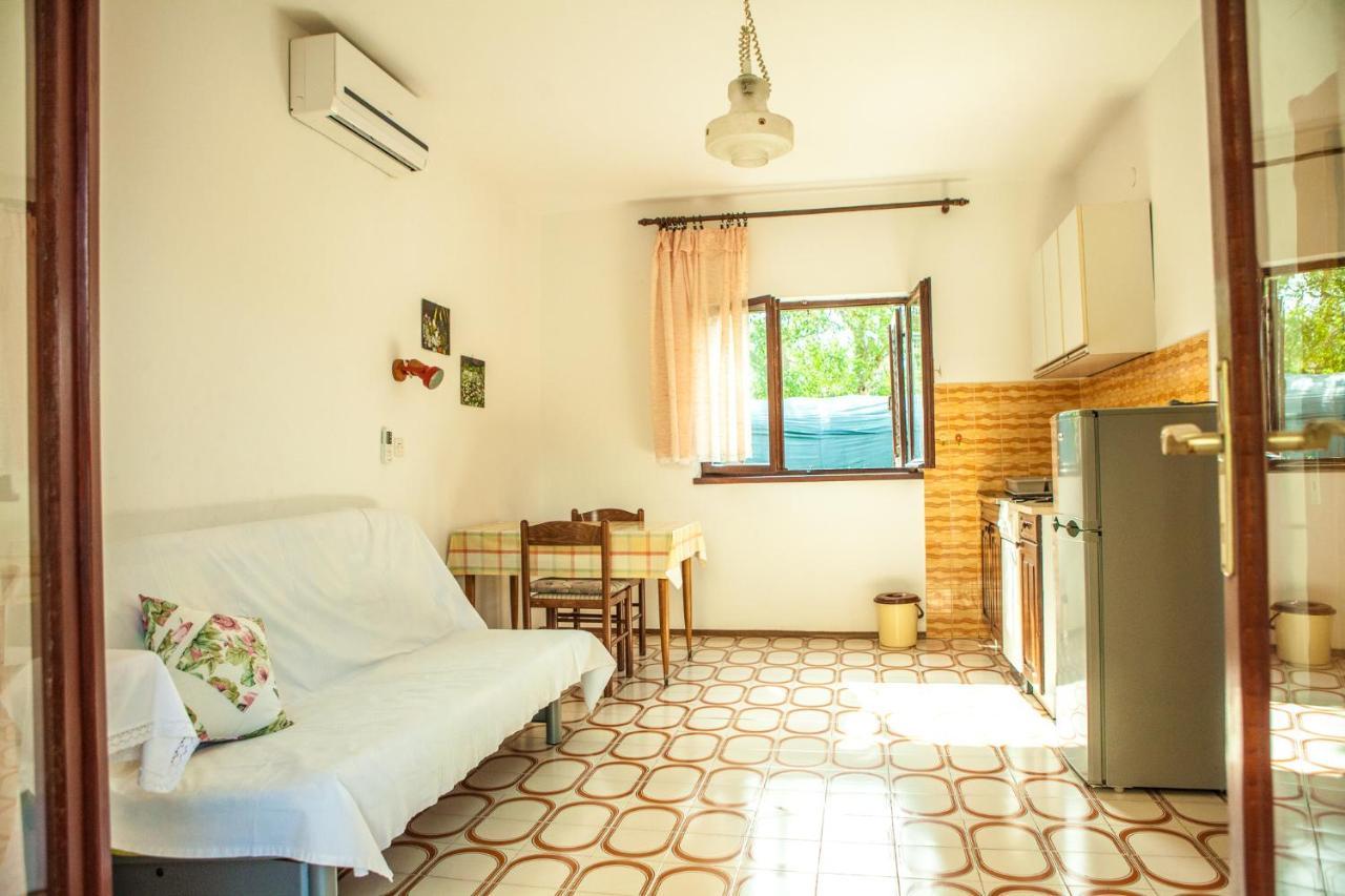 Apartments Alma Novalja Bagian luar foto