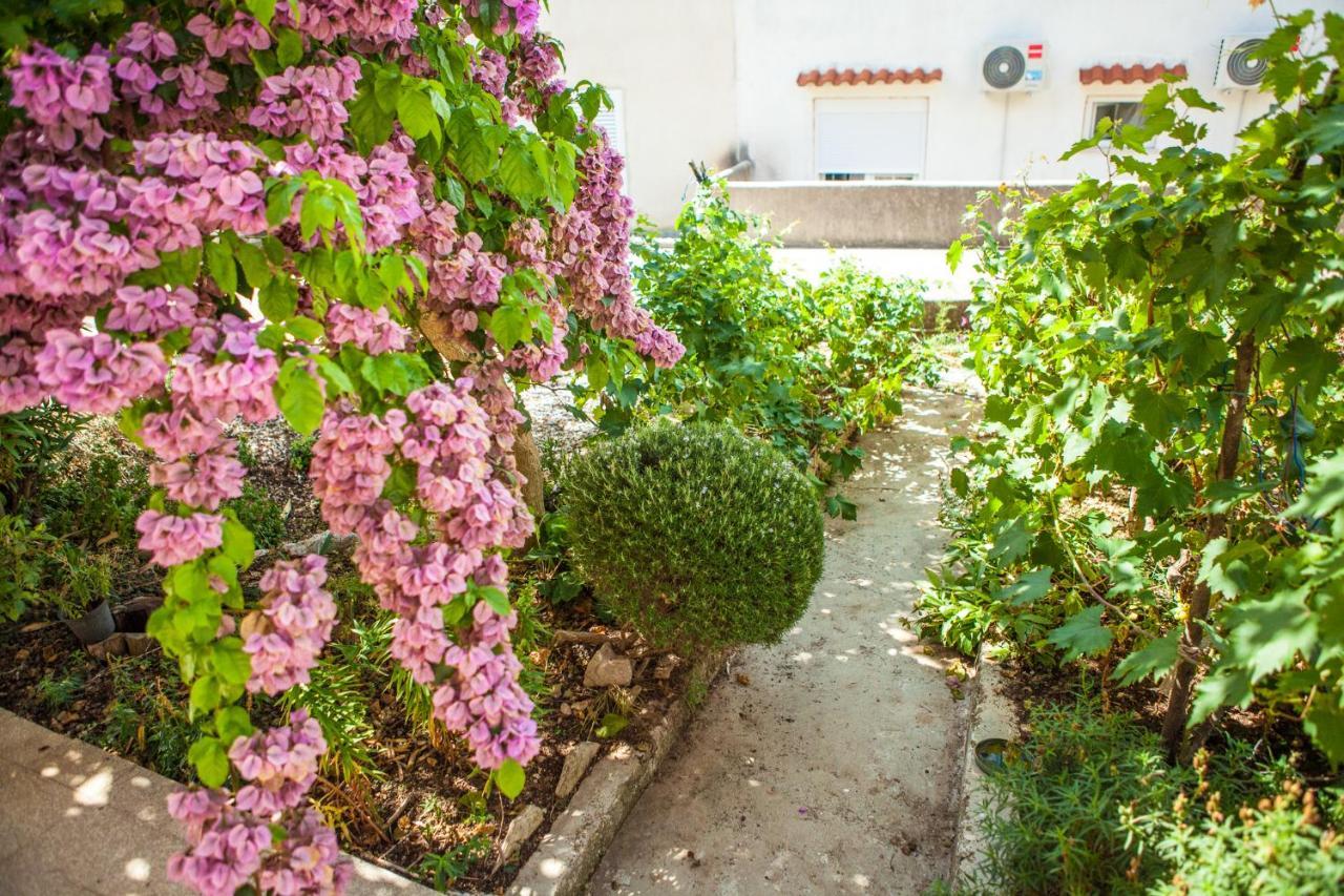 Apartments Alma Novalja Bagian luar foto